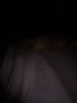 MynameisPaco's cam snapshot