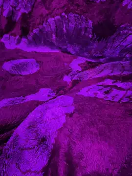 KBONE36 live sex cam