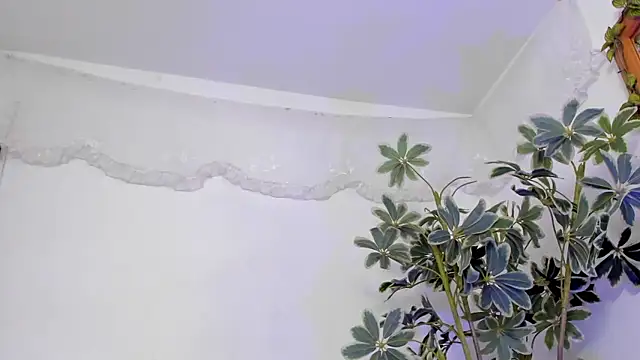 BonnieCute_ live sex cam