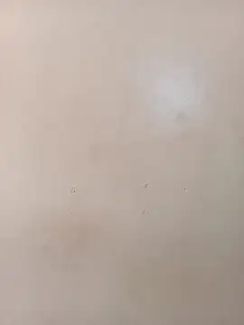 shanicollete's cam snapshot