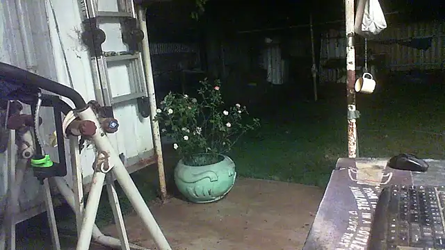 herbie010666 live sex cam