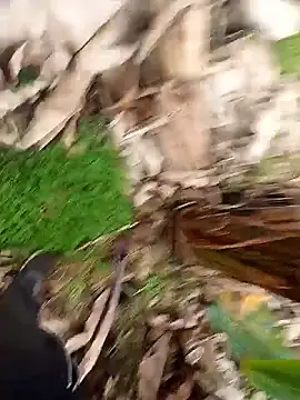 Sikici0734 live sex cam