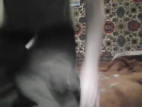 AlferezzSolvajo live sex cam