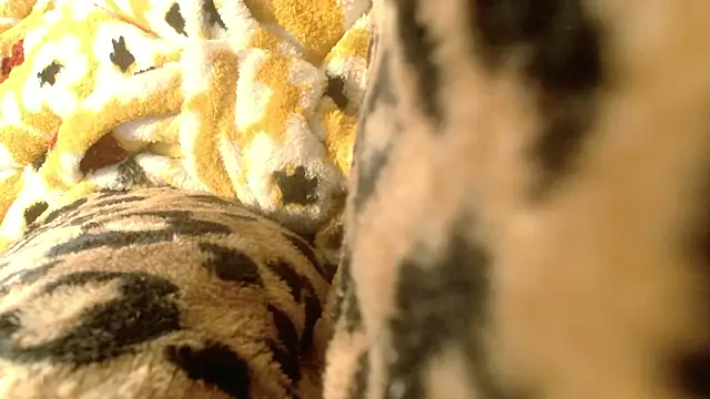 rockhead1971 live sex cam