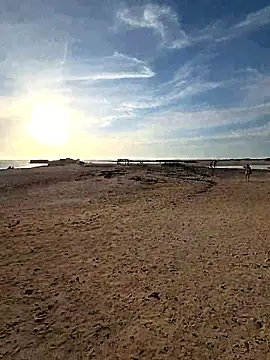 thenakedtraveler live sex cam