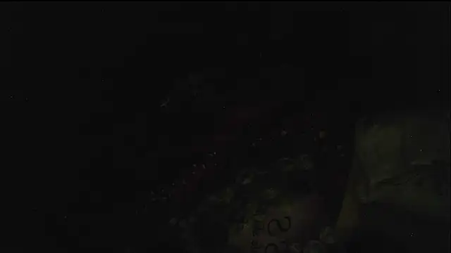 hebe-02 live sex cam