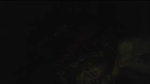 hebe-02 live sex cam