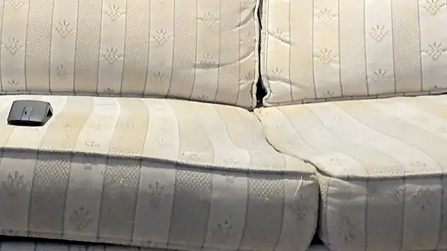 jayshort786's cam snapshot