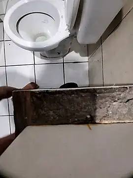 tesaodaweb live sex cam