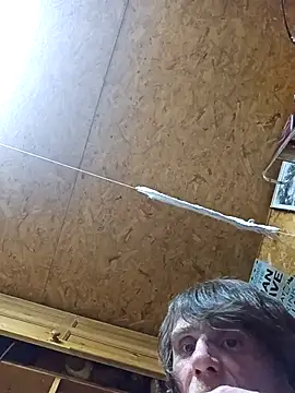 daiwantu live sex cam