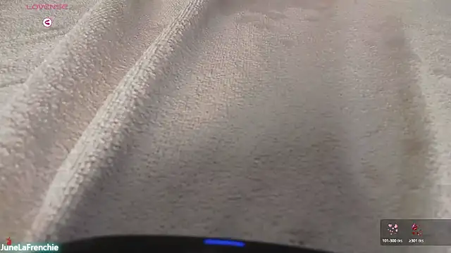 JuneLaFrenchie's cam snapshot