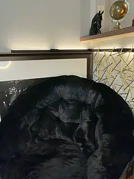 jrrichforever live sex cam