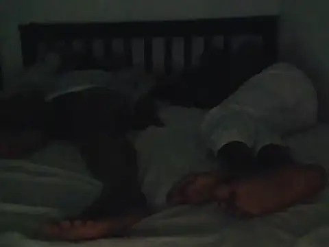 Hornny_Phrase live sex cam