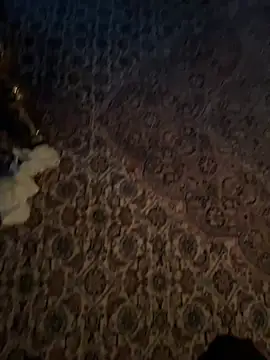 Yankees- live sex cam