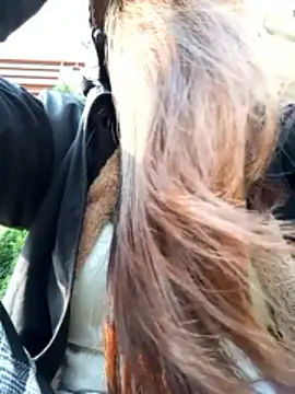 CML93's cam snapshot