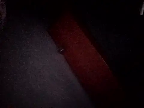 Hottiesophie's cam snapshot