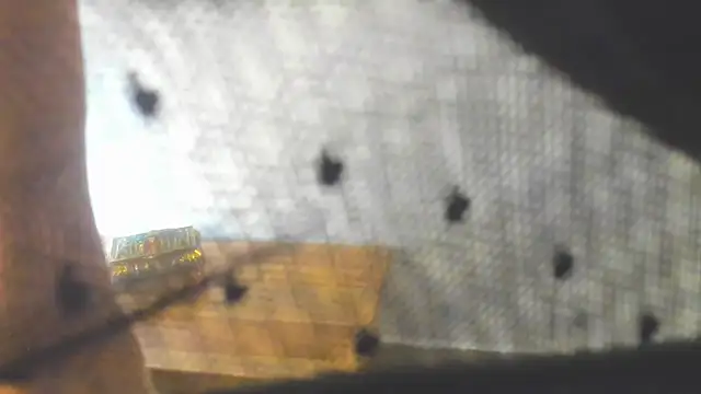 Liloo8923's cam snapshot