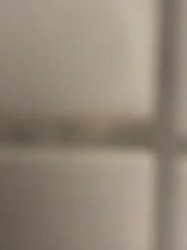 orient_zob live sex cam