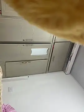 vennuss19's cam snapshot