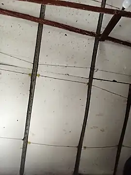 Lin-kute98's cam snapshot