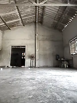 Tin_tanny live sex cam