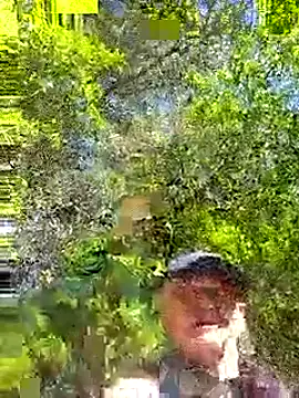 Andypie6 live sex cam