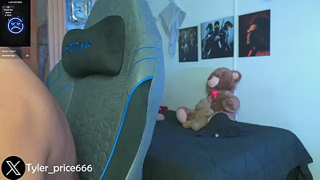 Tiler_wolker's cam snapshot