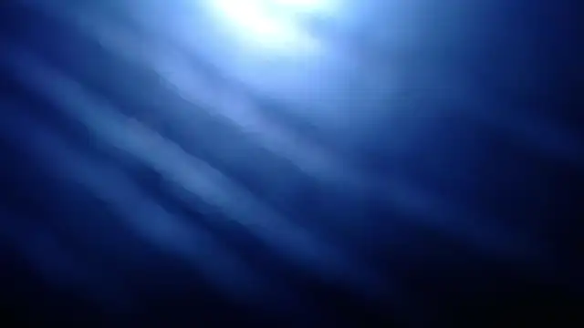 eebony_stallion live sex cam