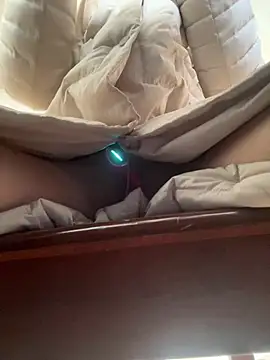 petoys's cam snapshot