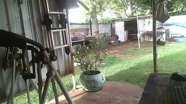 herbie010666 live sex cam