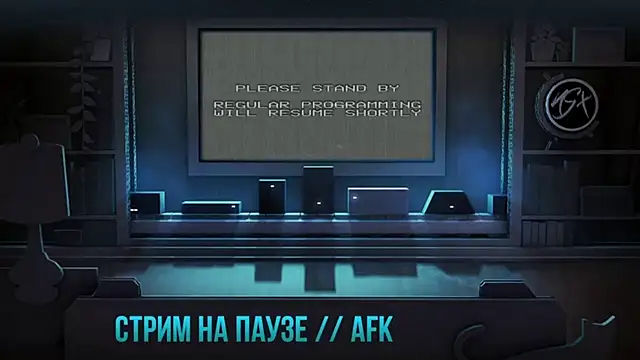 VirgieVoter's cam snapshot