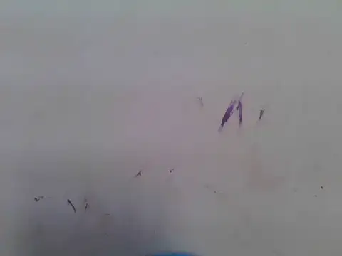 sweet_bella16's cam snapshot