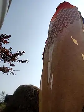 Pinky12A's cam snapshot