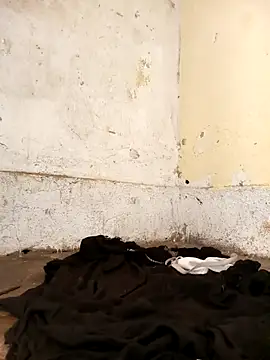 honeypot224's cam snapshot