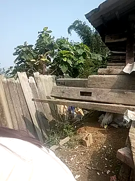 boiboi001's cam snapshot