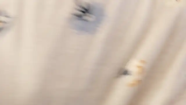 Luafy_Toddy's cam snapshot