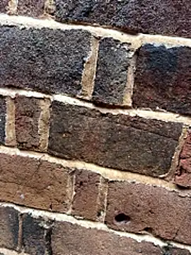 dudubaobao live sex cam