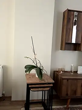 Turkishleo's cam snapshot