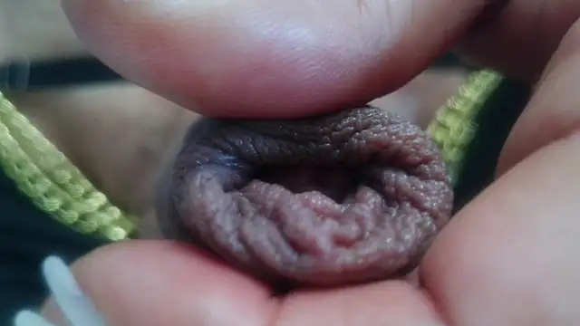 LadyOxana live sex cam