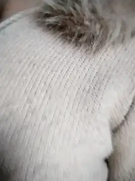 alycen's cam snapshot