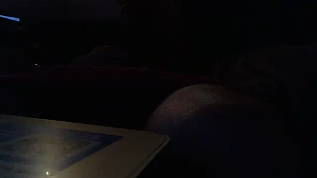 Dalton2288 live sex cam