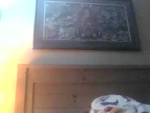 superfly9469xxx live sex cam