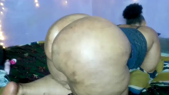 wilmaassylum's cam snapshot