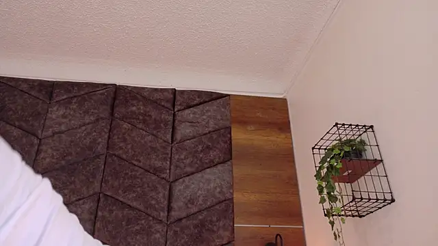 memphiswilliam live sex cam