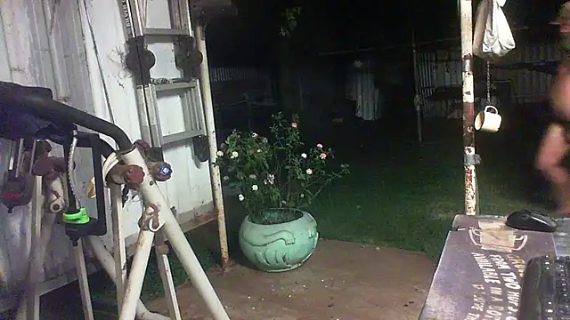 herbie010666 live sex cam