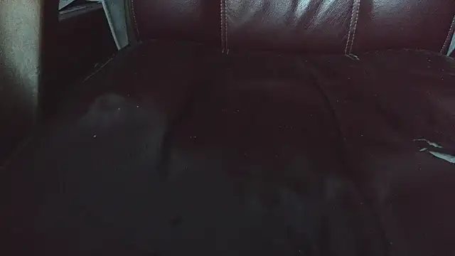 hairyandtiny's cam snapshot