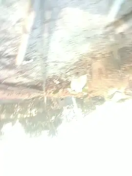 momo_loves's cam snapshot