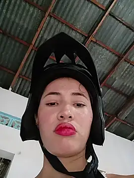 -Nicol's cam snapshot