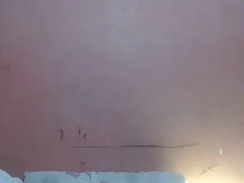 Kyoshi_19 live sex cam