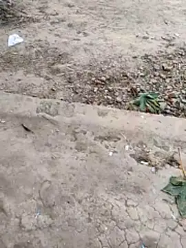 kripaul live sex cam